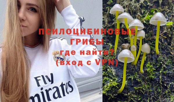 соль ск Киреевск