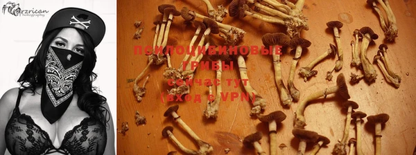 соль ск Киреевск