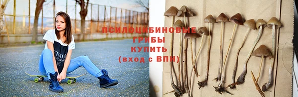 соль ск Кинешма