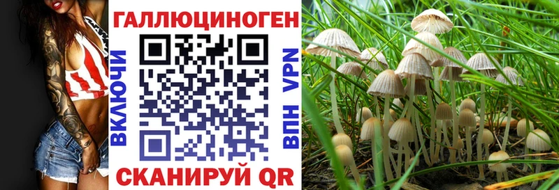 магазин продажи кракен tor Псилоцибиновые грибы ЛСД Арзамас